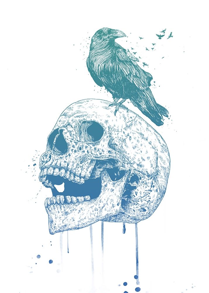 New Skull (Blue) art print by Balazs Solti for $57.95 CAD