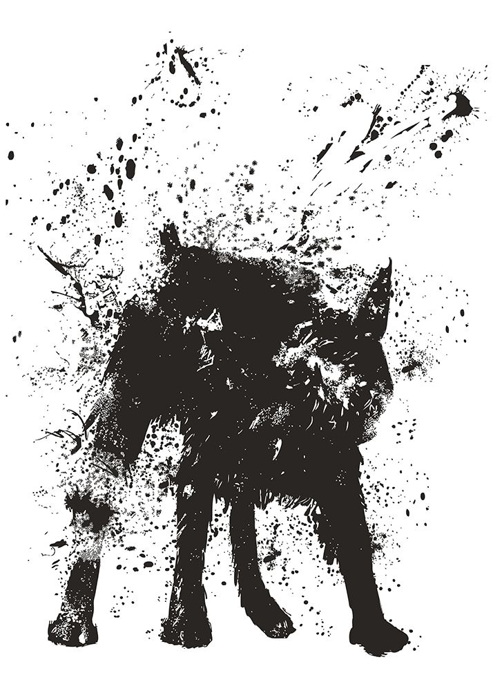 Wet Dog art print by Balazs Solti for $57.95 CAD
