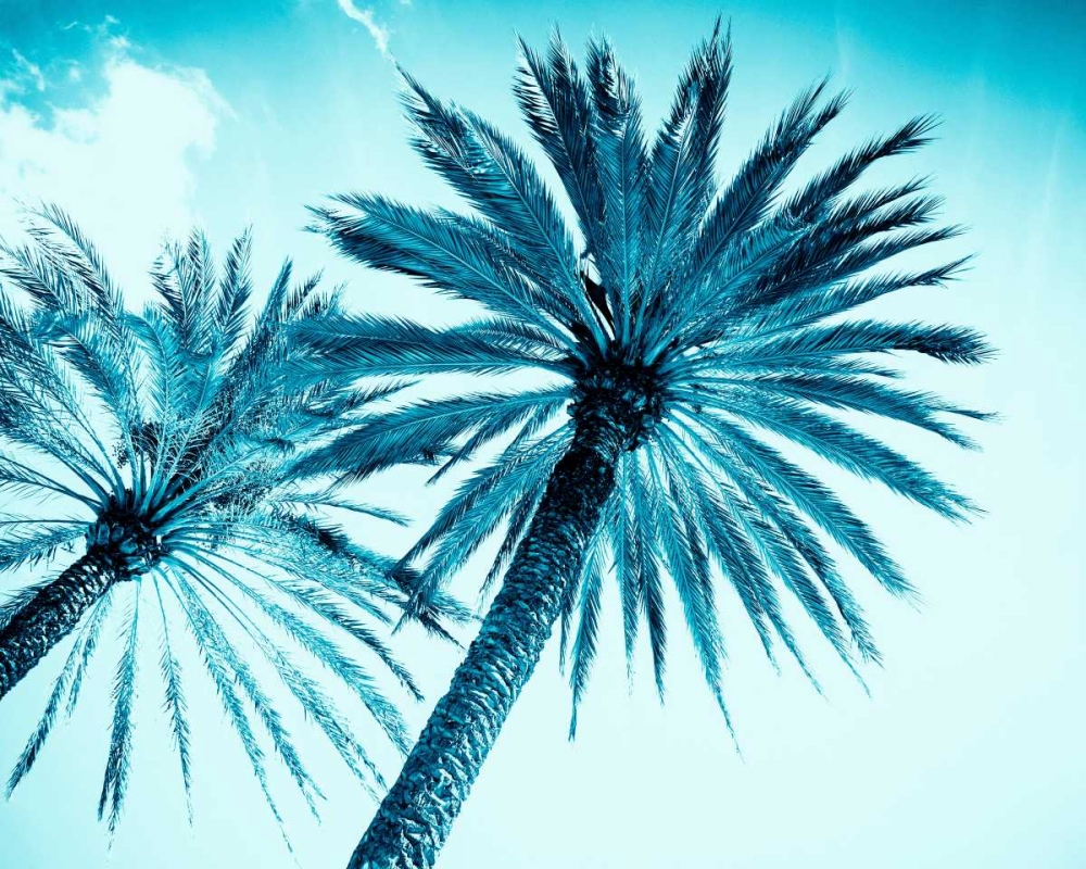 Chic Palms art print by Tai Prints for $57.95 CAD
