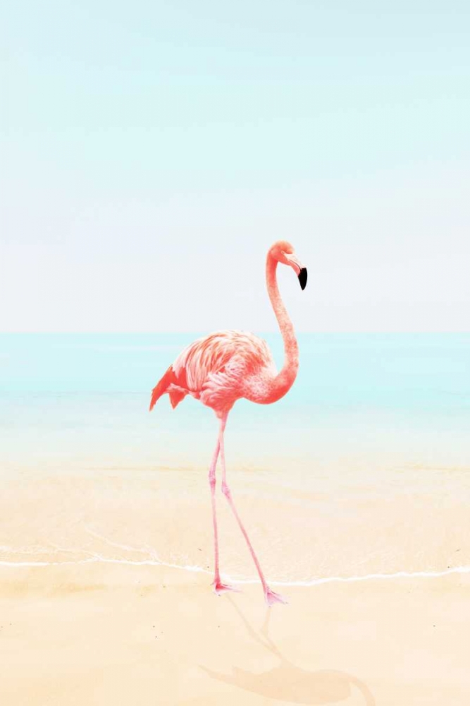 Flamingo on the Beach II art print by Tai Prints for $57.95 CAD