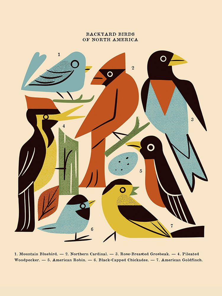 Backyard Birds of North America art print by Renea L. Thull for $57.95 CAD