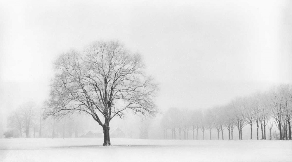 Standing Alone art print by Lars Van de Goor for $57.95 CAD