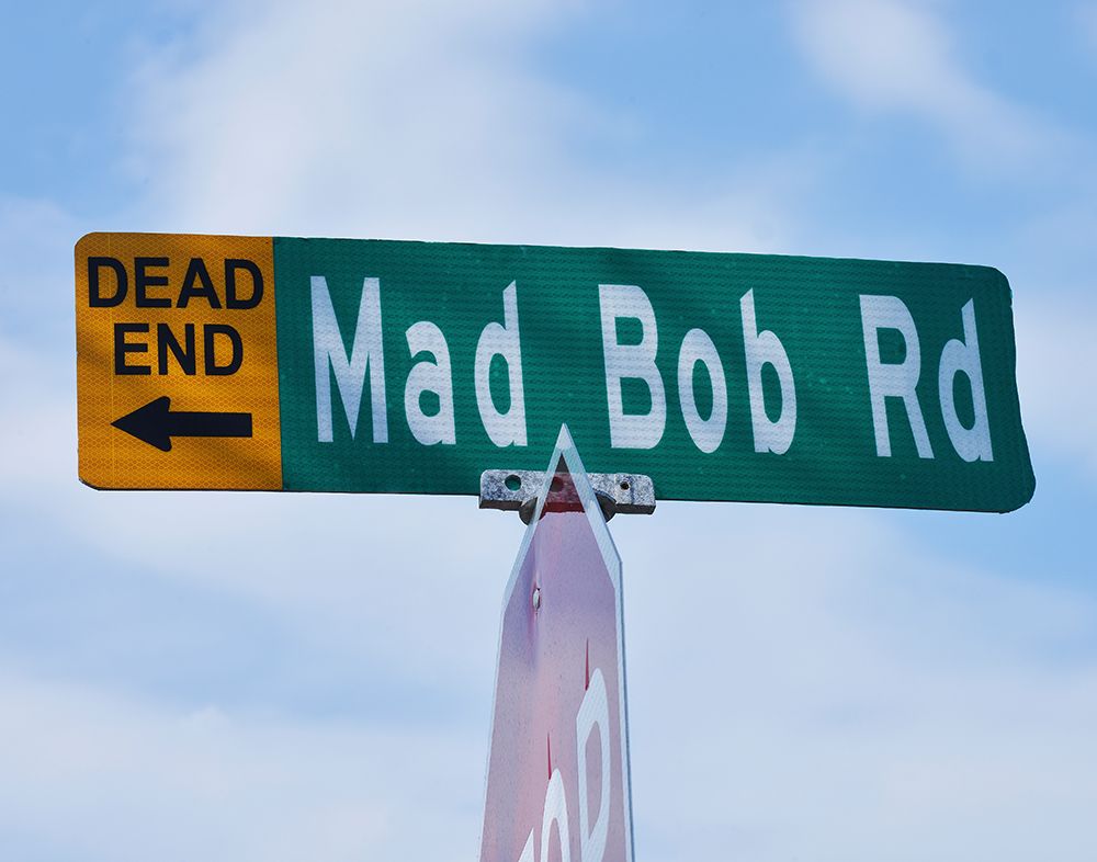 Mad Bob art print by Steve Vaughn for $57.95 CAD