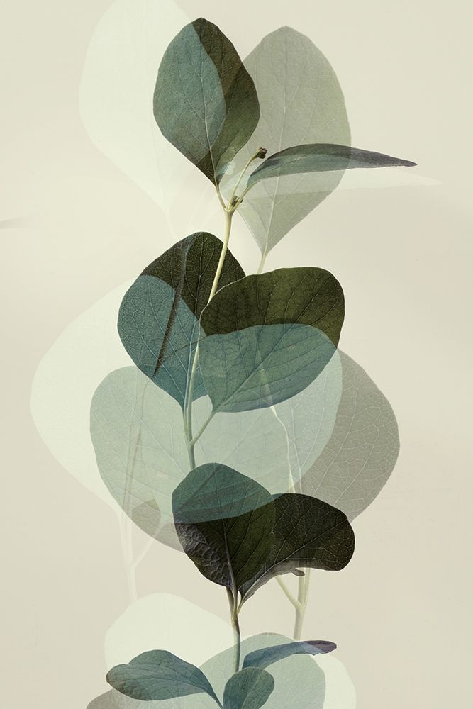 Green Leaves 8 art print by Ian Winstanley for $57.95 CAD
