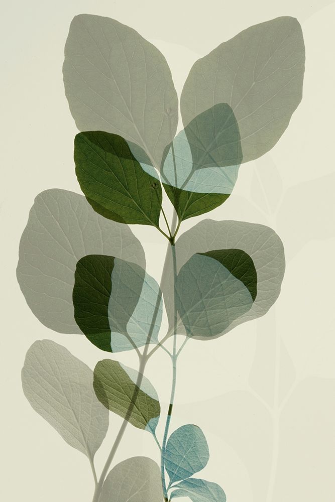 Green Leaves 10 art print by Ian Winstanley for $57.95 CAD