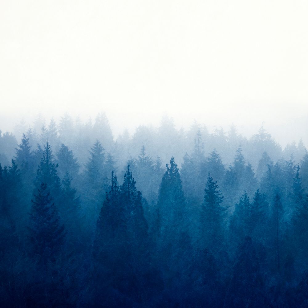 Heart and Soul - Foggy Forest art print by Dirk Wustenhagen for $57.95 CAD