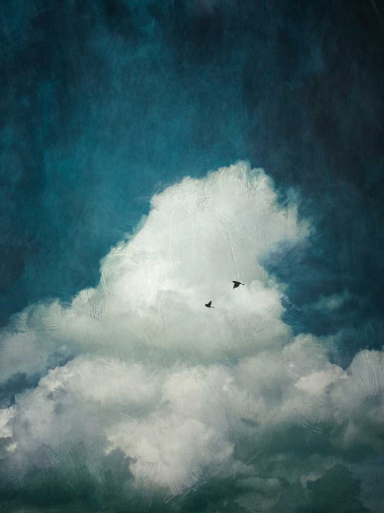 The Cloud art print by Dirk Wuestenhagen for $57.95 CAD
