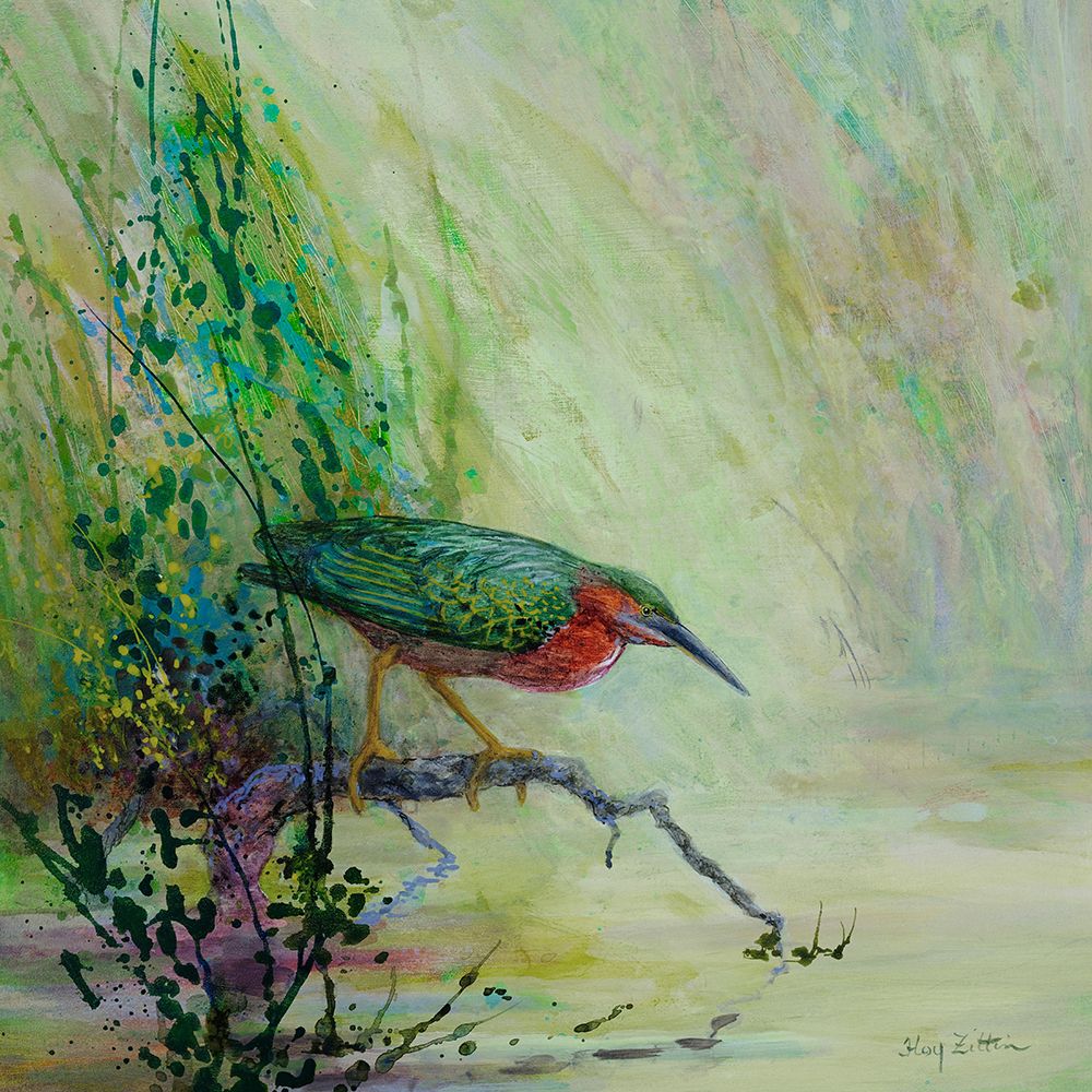 Green Heron on the Hunt art print by Floy Zittin for $57.95 CAD