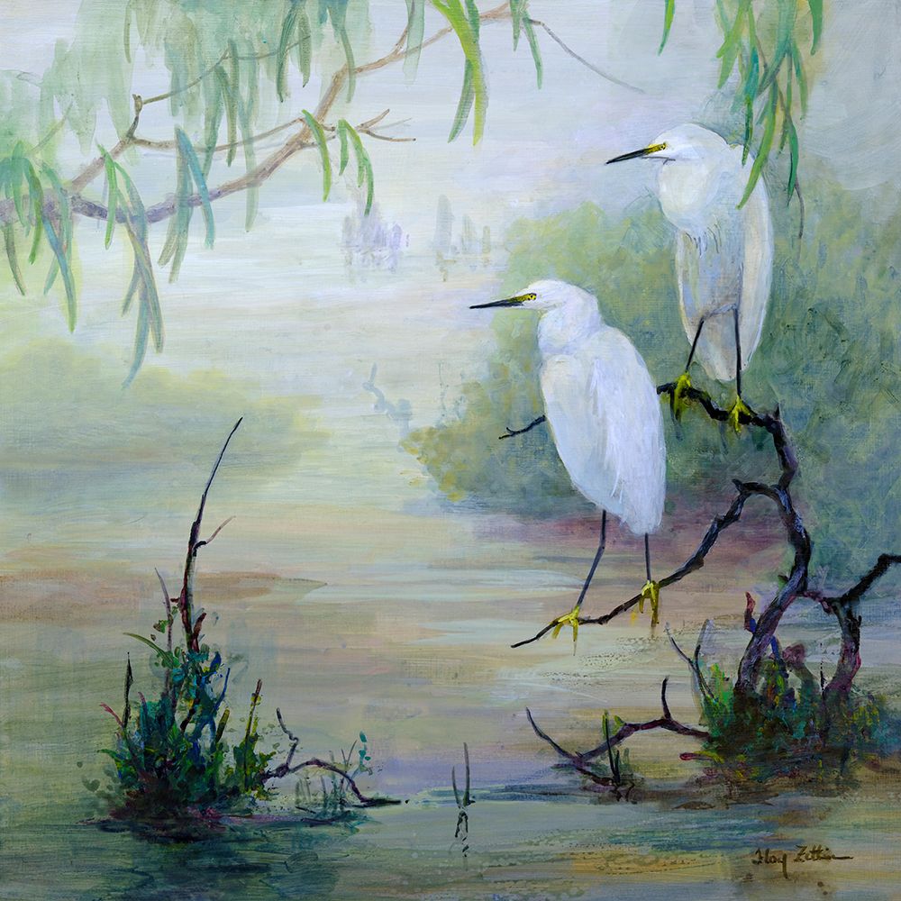 Snowy Egrets in Wetlands art print by Floy Zittin for $57.95 CAD