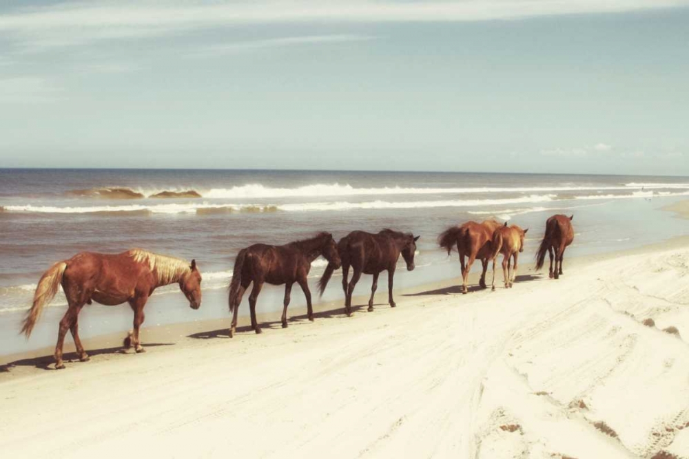 Horses on the Beach art print by Kathy Mansfield for $57.95 CAD
