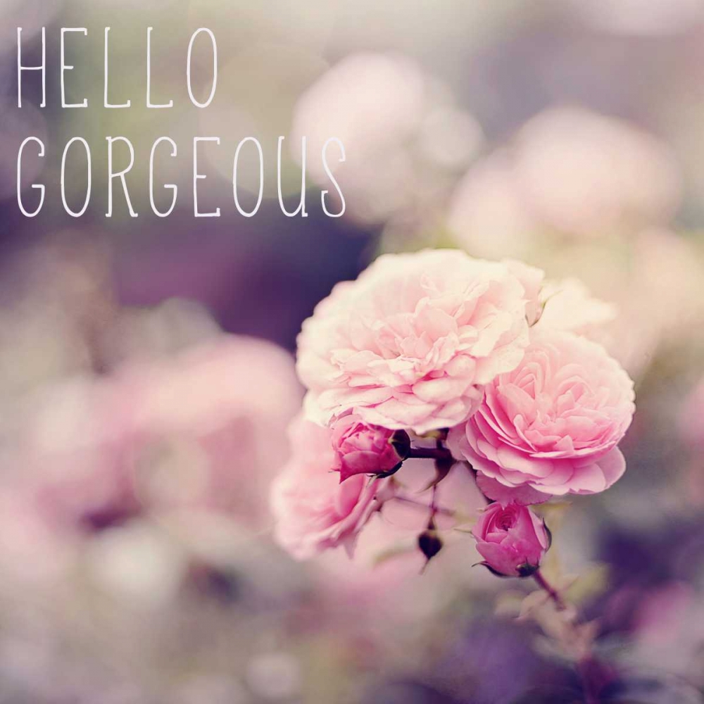 Hello Gorgeous art print by Sarah Gardner for $57.95 CAD
