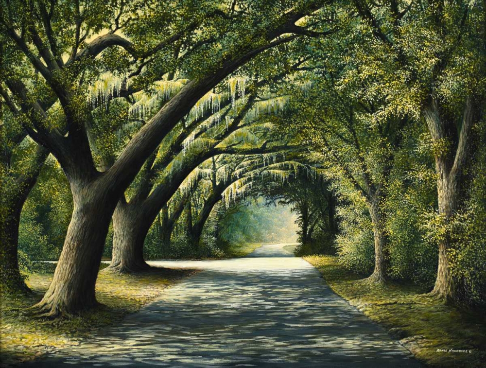 Favorite Path art print by Bruce Nawrocke for $57.95 CAD