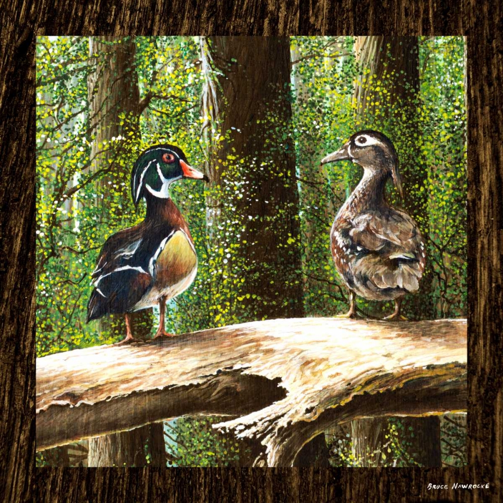 Pairing Up Square I art print by Bruce Nawrocke for $57.95 CAD