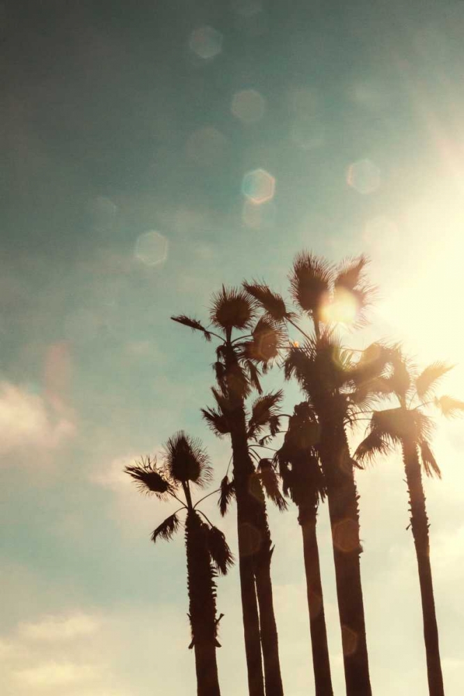 Palms in the Sun art print by Emily Navas for $57.95 CAD