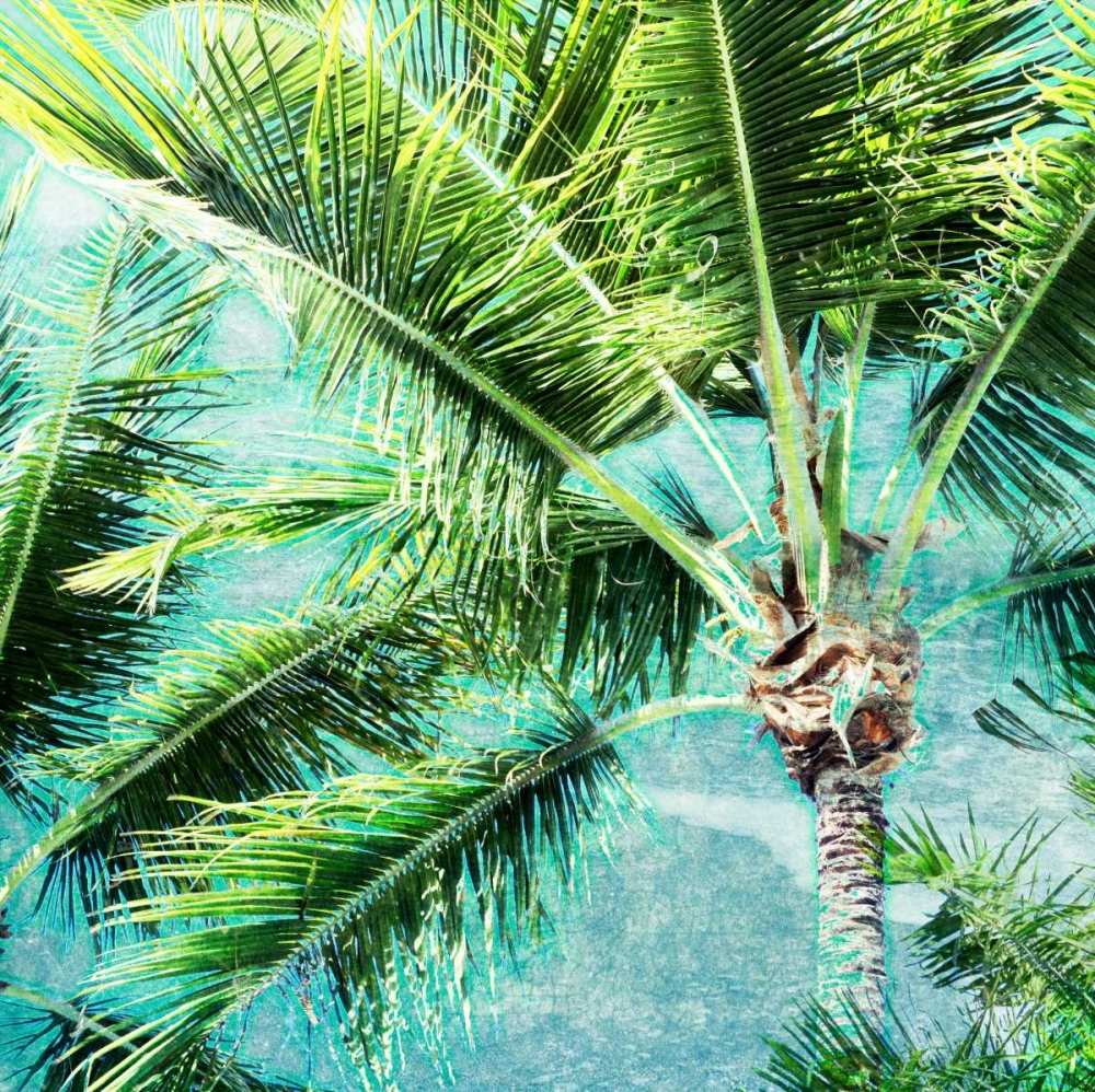 Wild Palm art print by Susan Bryant for $57.95 CAD
