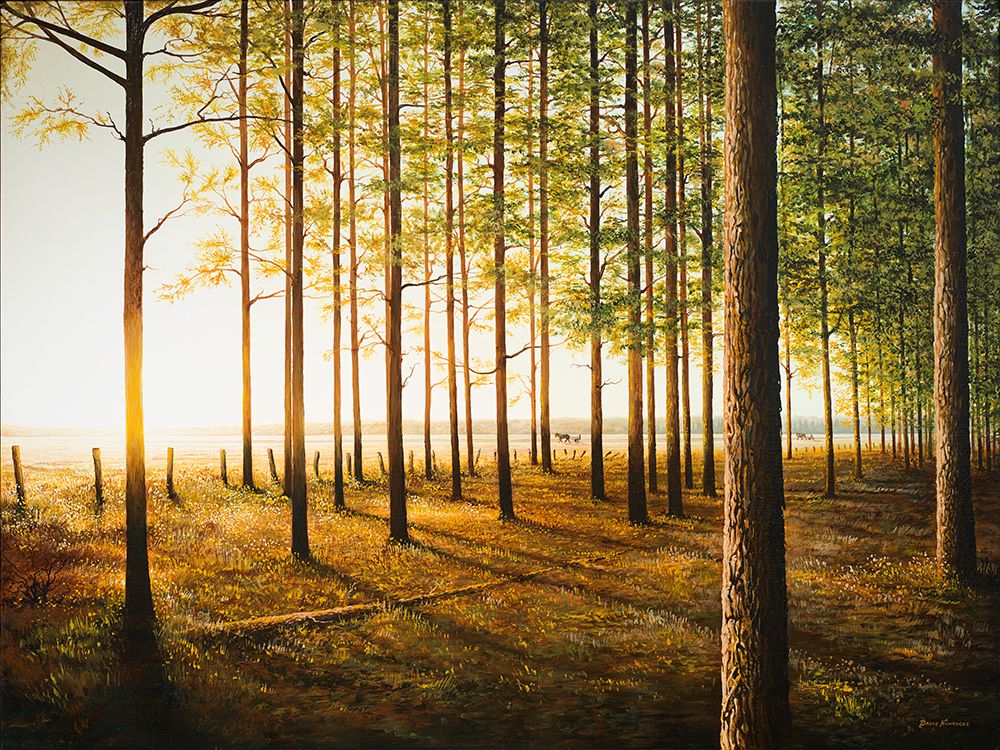 Sunrise In The Woods art print by Bruce Nawrocke for $57.95 CAD