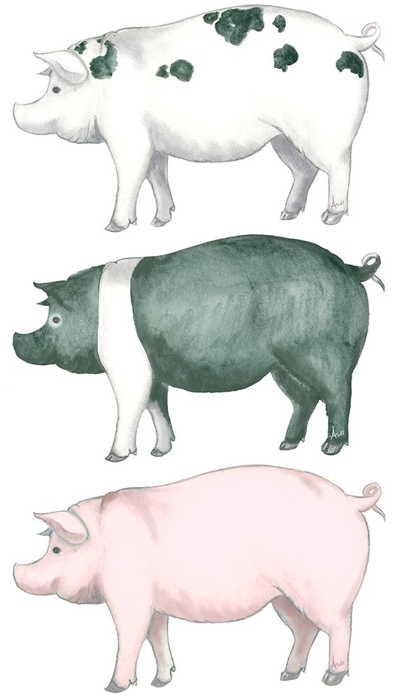 Piggy Wiggy Set art print by Andi Metz for $57.95 CAD