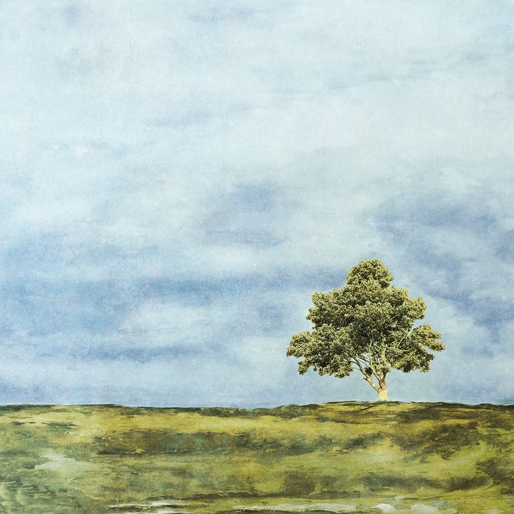 Summer Oak art print by Ynon Mabat for $57.95 CAD