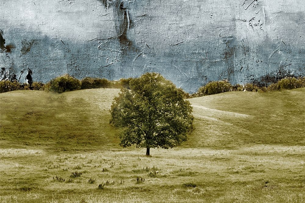 Tree in the Valley art print by Ynon Mabat for $57.95 CAD