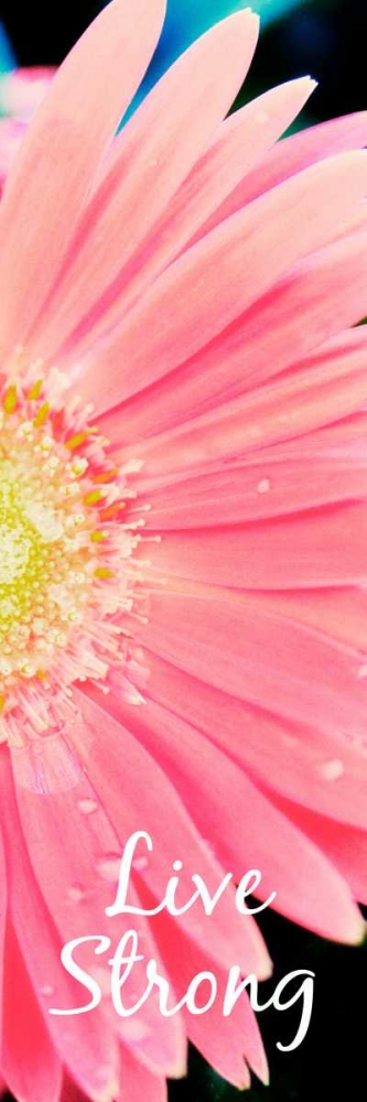 Live Strong Daisy art print by Susan Bryant for $57.95 CAD
