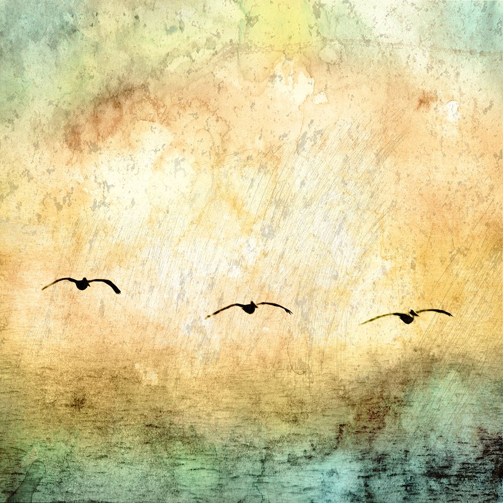 Seagulls in the Sky Square III art print by Ynon Mabat for $57.95 CAD