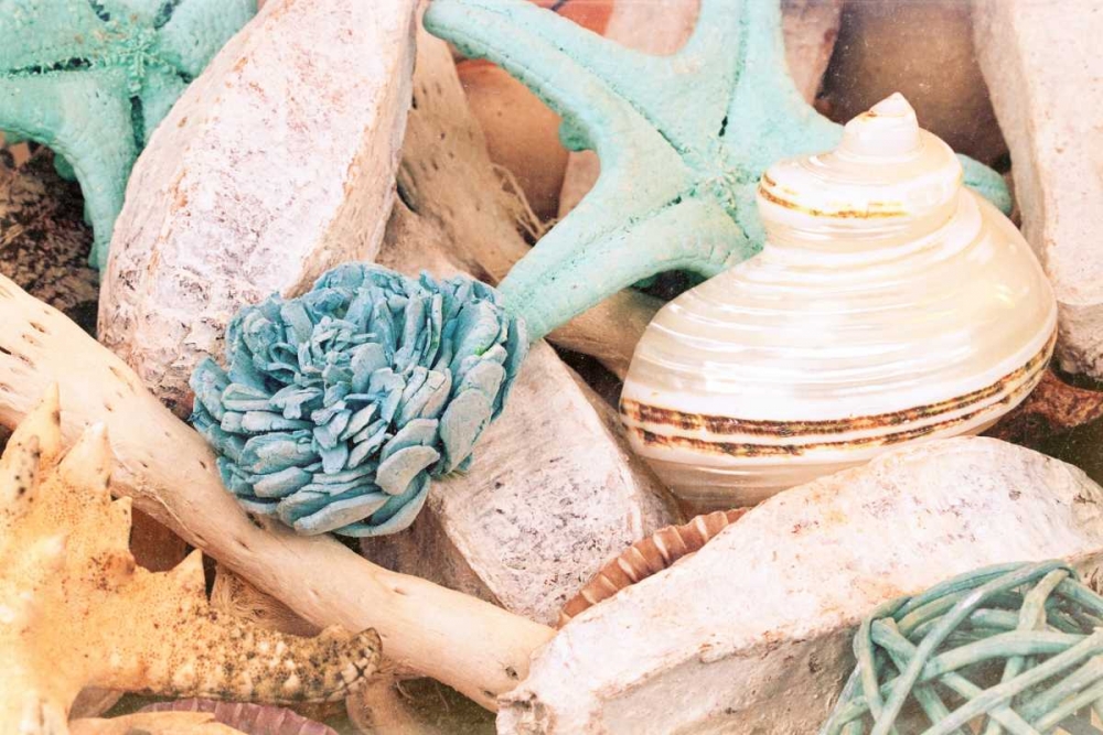 Bundle of Shells II art print by Susan Bryant for $57.95 CAD