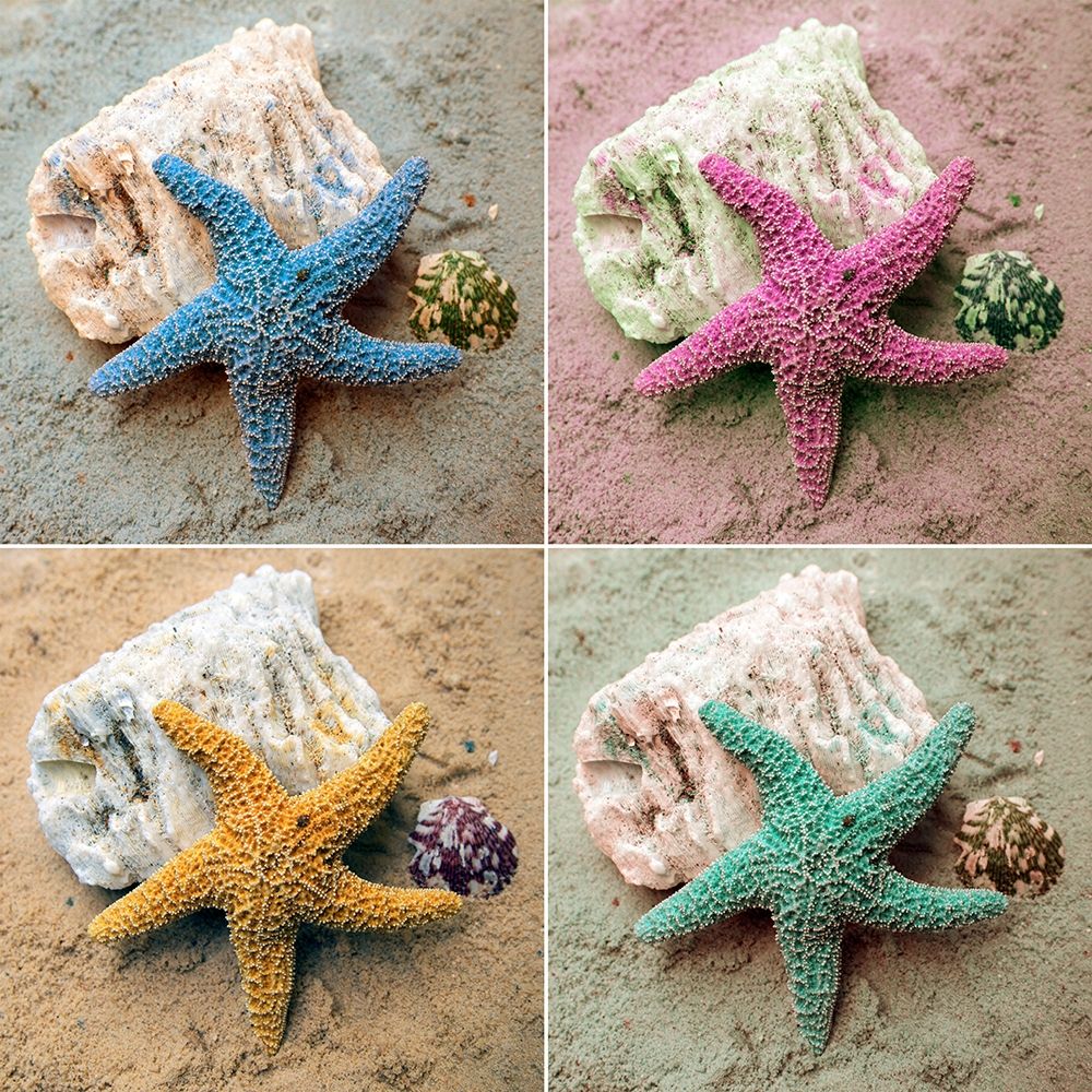 Colorful Starfish art print by Kathy Mansfield for $57.95 CAD