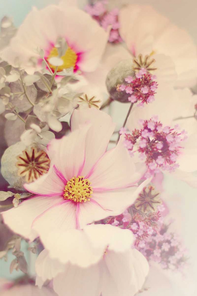 Pink Blossoms II art print by Sarah Gardner for $57.95 CAD