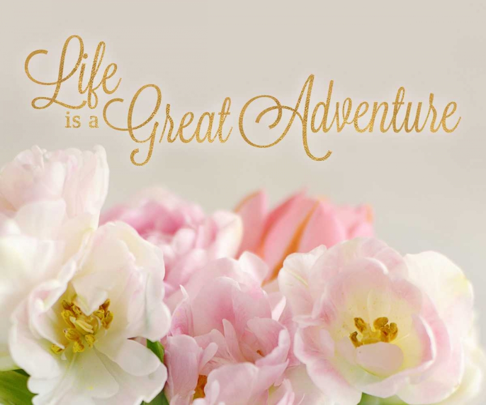 Life is a Great Adventure art print by Sarah Gardner for $57.95 CAD