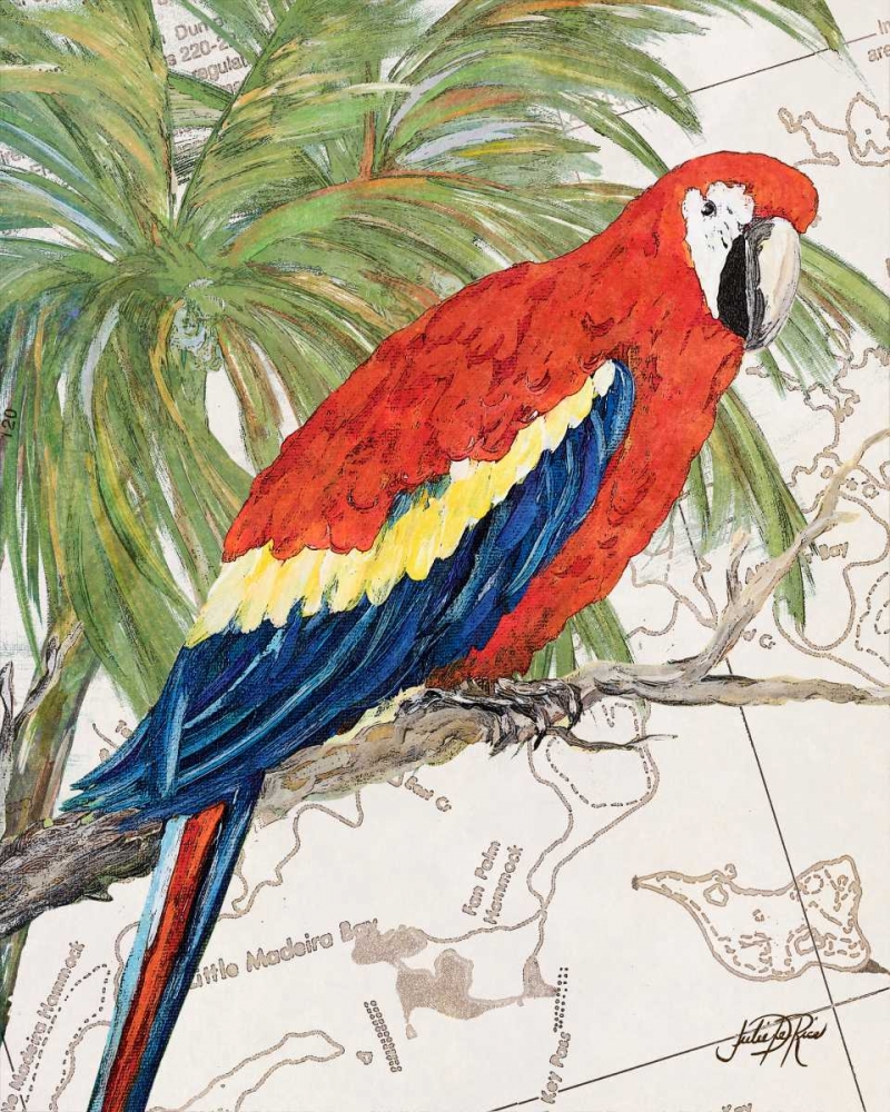 Another Bird in Paradise I art print by Julie DeRice for $57.95 CAD