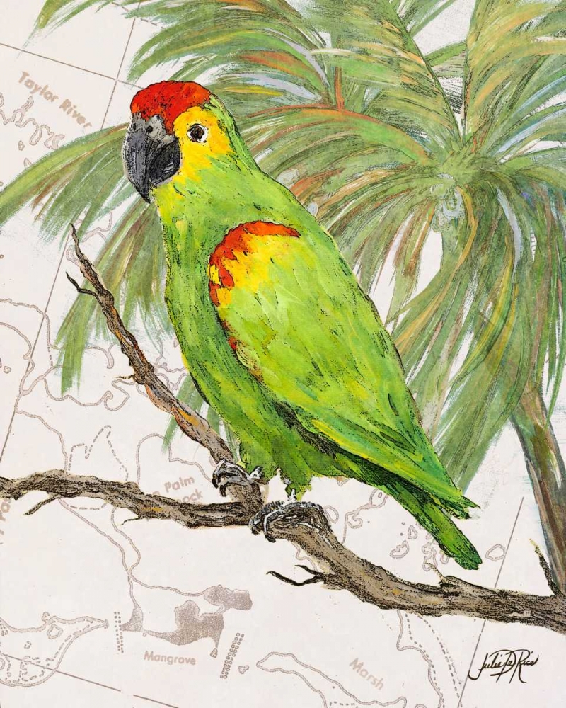 Another Bird in Paradise II art print by Julie DeRice for $57.95 CAD