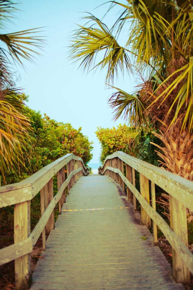 Palm Walkway I art print by Susan Bryant for $57.95 CAD