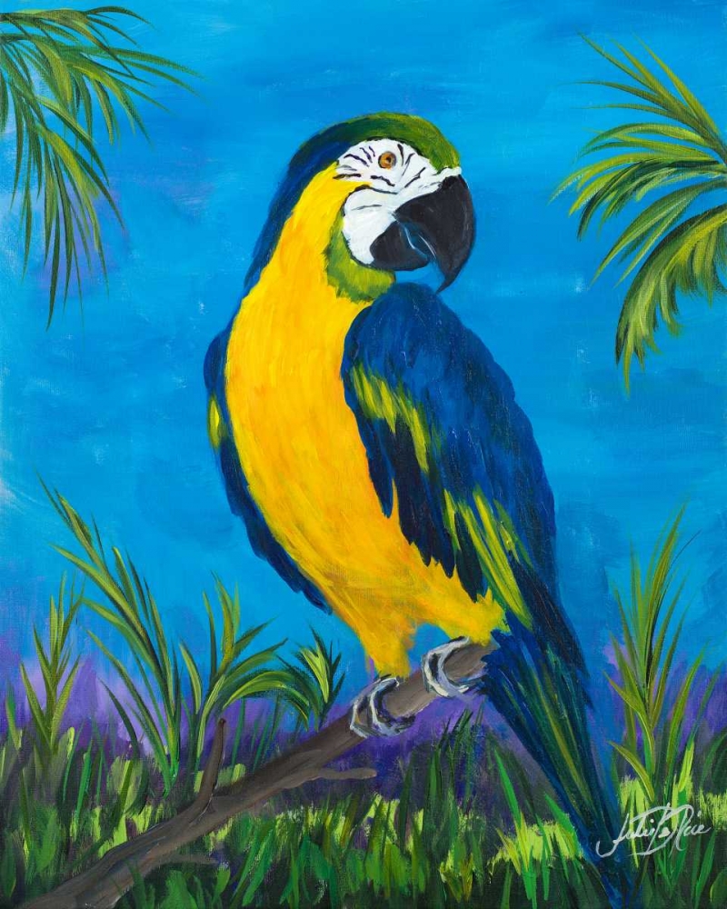 Island Birds II art print by Julie DeRice for $57.95 CAD