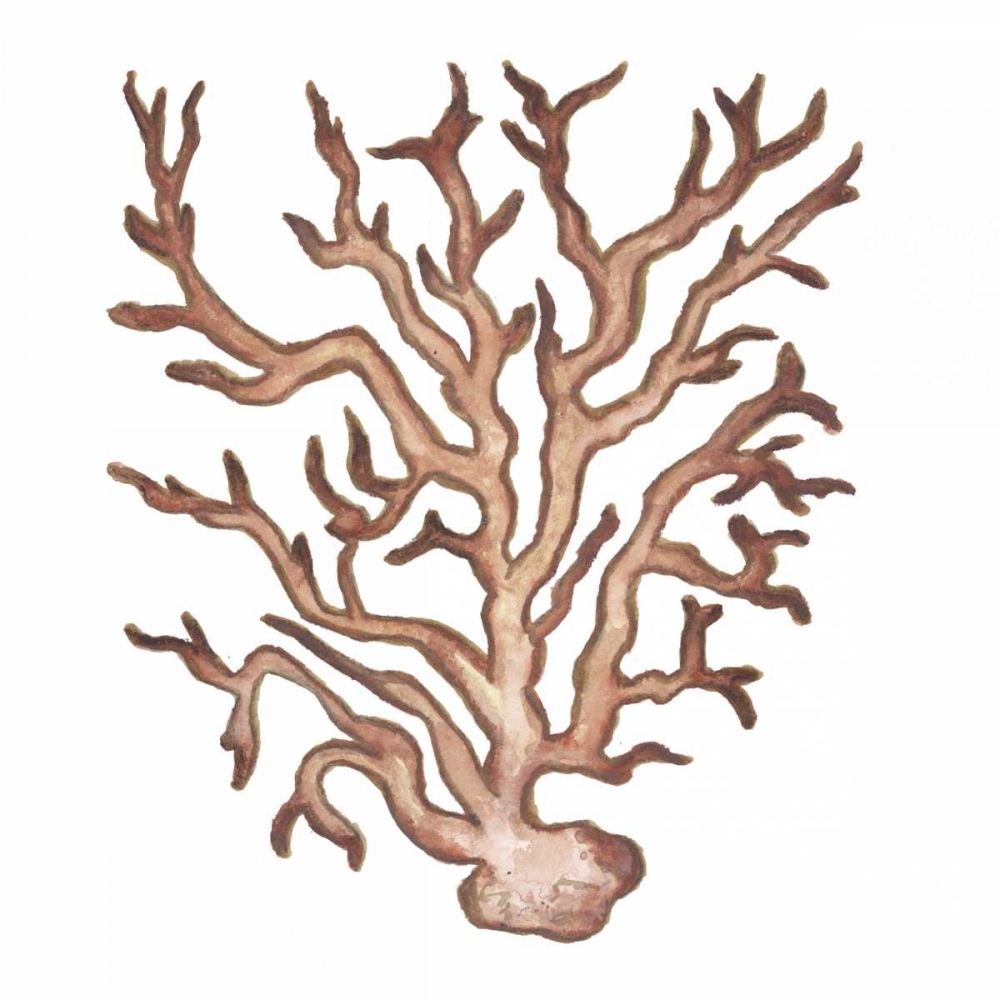 Coastal Icon Coral III art print by Elizabeth Medley for $57.95 CAD