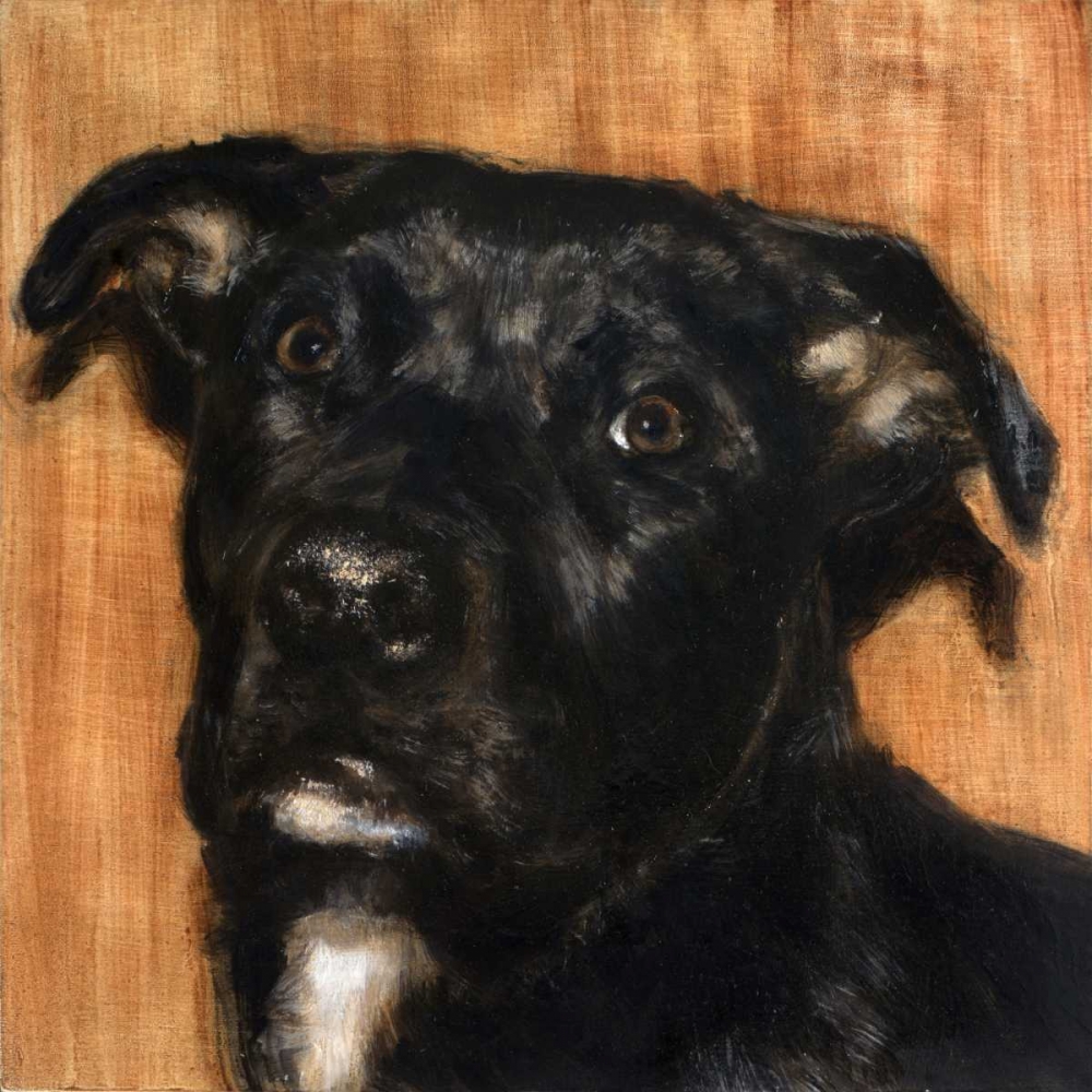 Puppy Dog Eyes I art print by Walt Johnson for $57.95 CAD