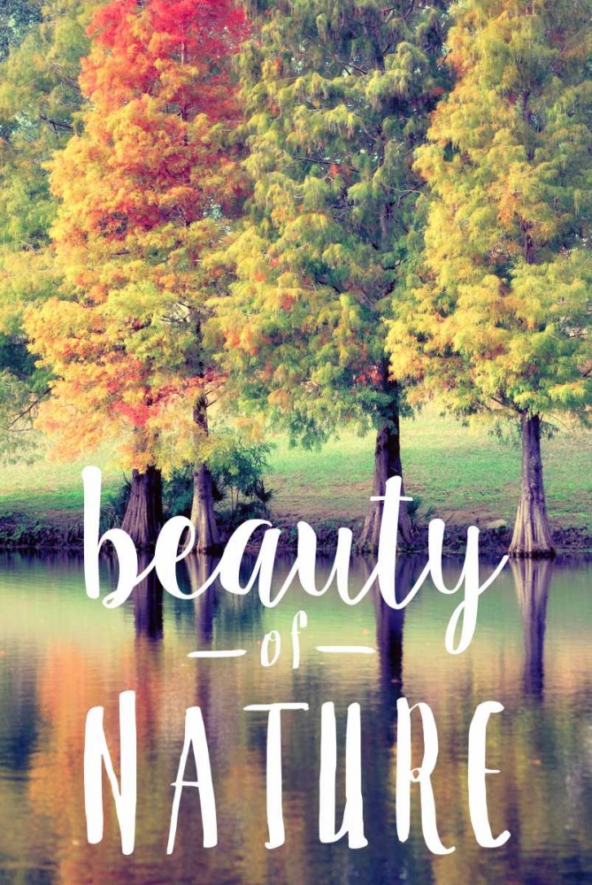 Beauty Of Nature art print by Gail Peck for $57.95 CAD