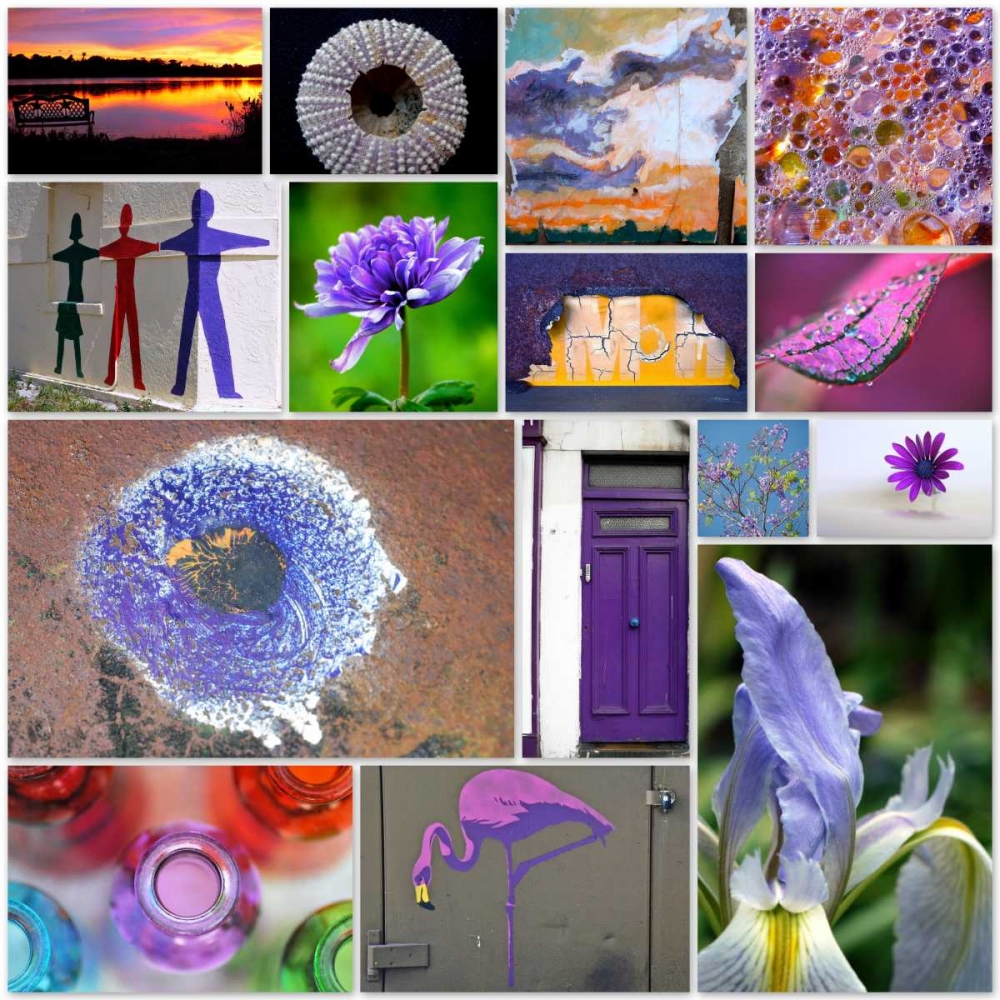 Purple Blossom Collage art print by Gail Peck for $57.95 CAD
