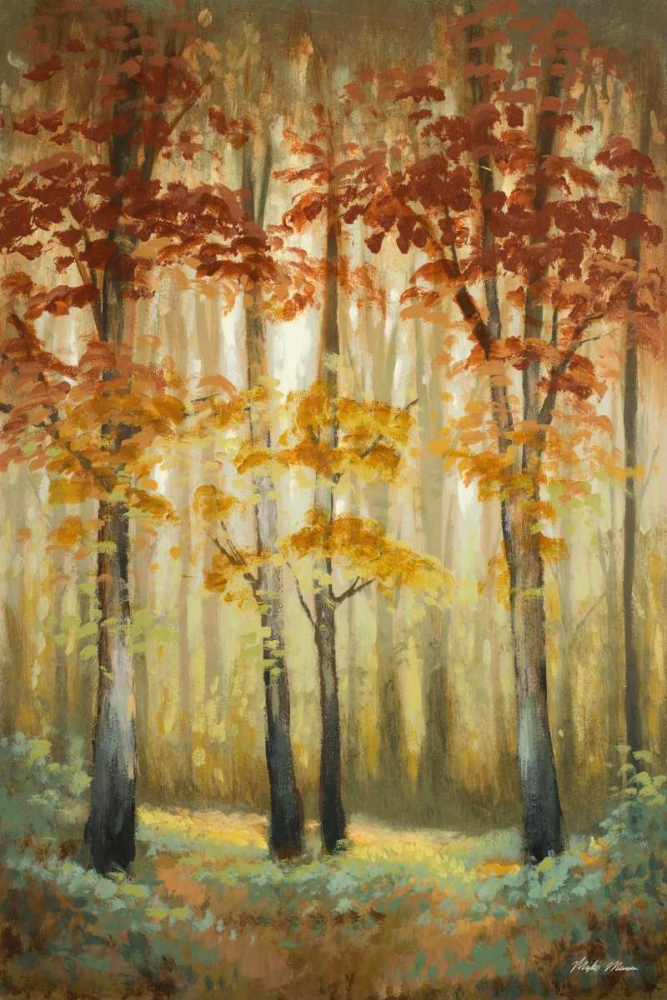 Woodland Glow I art print by Michael Marcon for $57.95 CAD
