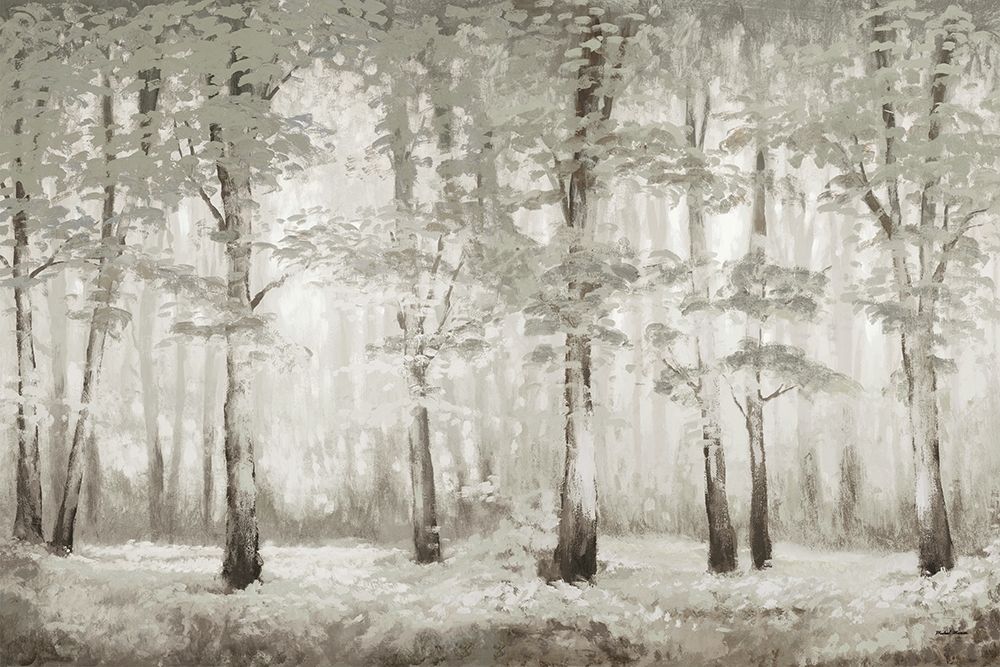 Misty Woodland Glow art print by Michael Marcon for $57.95 CAD