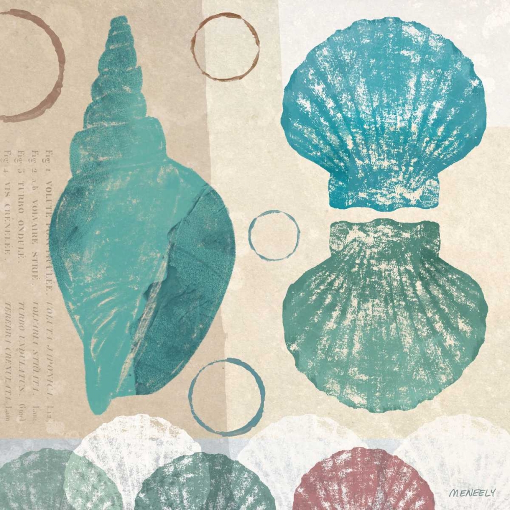 Shell Collage II art print by Dan Meneely for $57.95 CAD