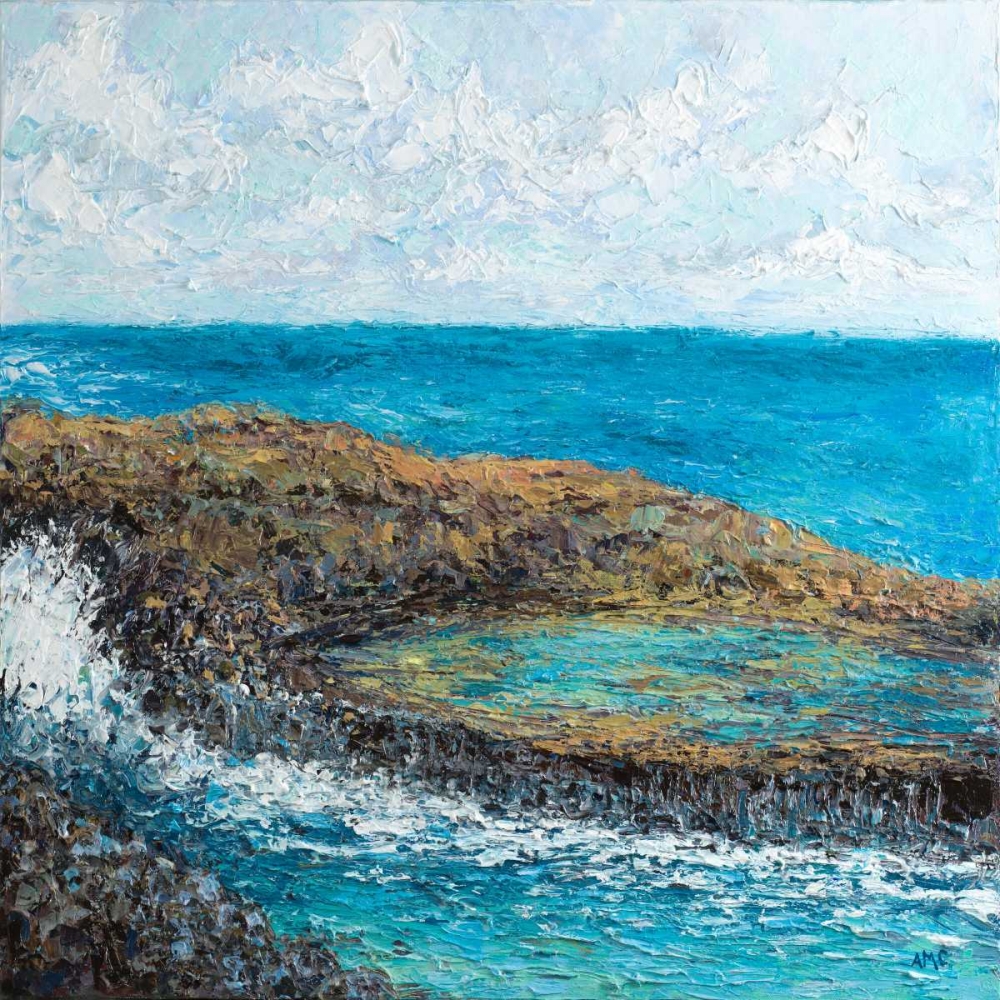 Conchi Pool Square art print by Ann Marie Coolick for $57.95 CAD