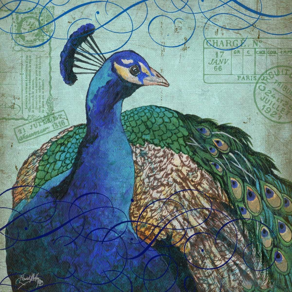 Parisian Peacock I art print by Elizabeth Medley for $57.95 CAD