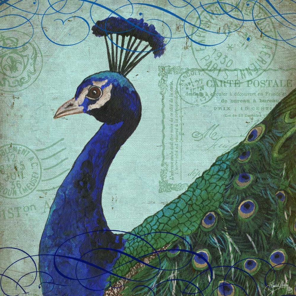 Parisian Peacock II art print by Elizabeth Medley for $57.95 CAD
