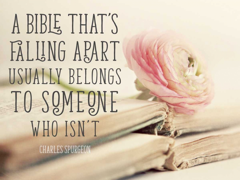 Bible Quote art print by Sarah Gardner for $57.95 CAD
