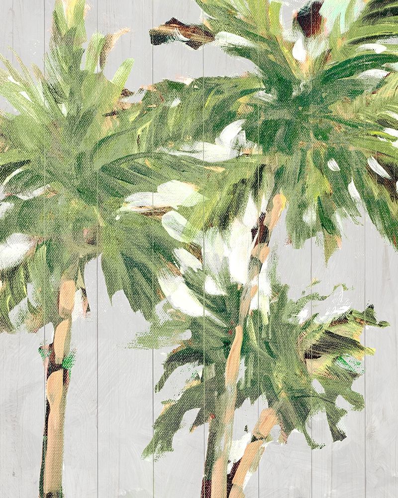 Caribbean Palm Trees art print by Jane Slivka for $57.95 CAD