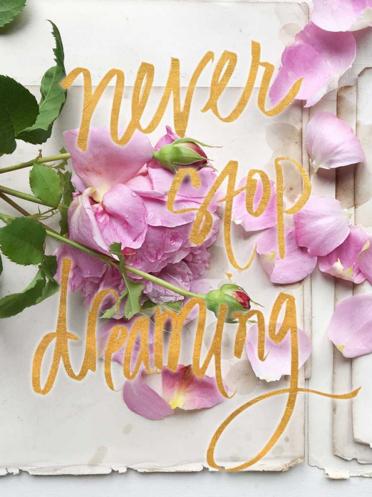 Never Stop Dreaming art print by Sarah Gardner for $57.95 CAD