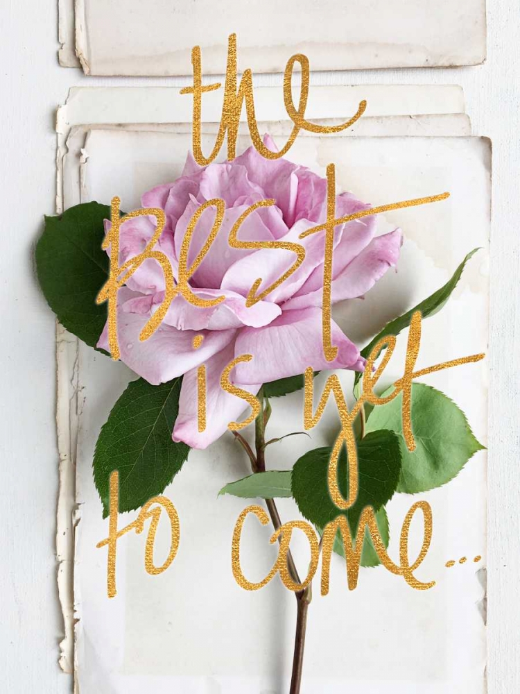 The Best is Yet to Come art print by Sarah Gardner for $57.95 CAD
