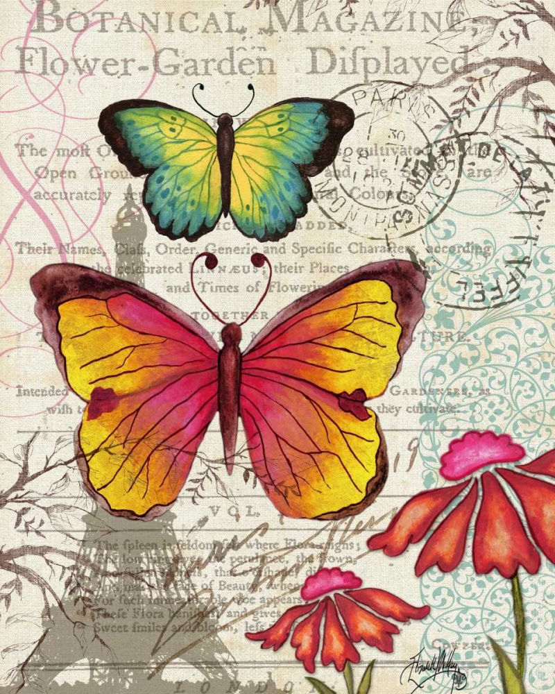 Paris Butterflies I art print by Elizabeth Medley for $57.95 CAD