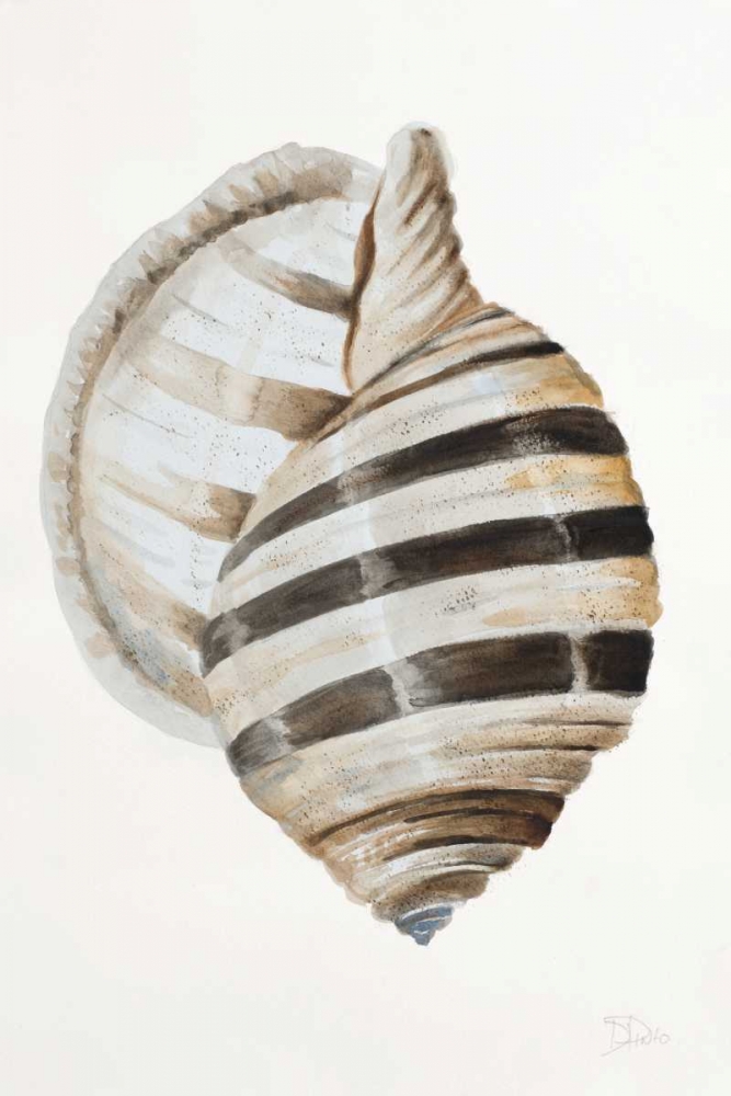 Modern Shell I art print by Patricia Pinto for $57.95 CAD