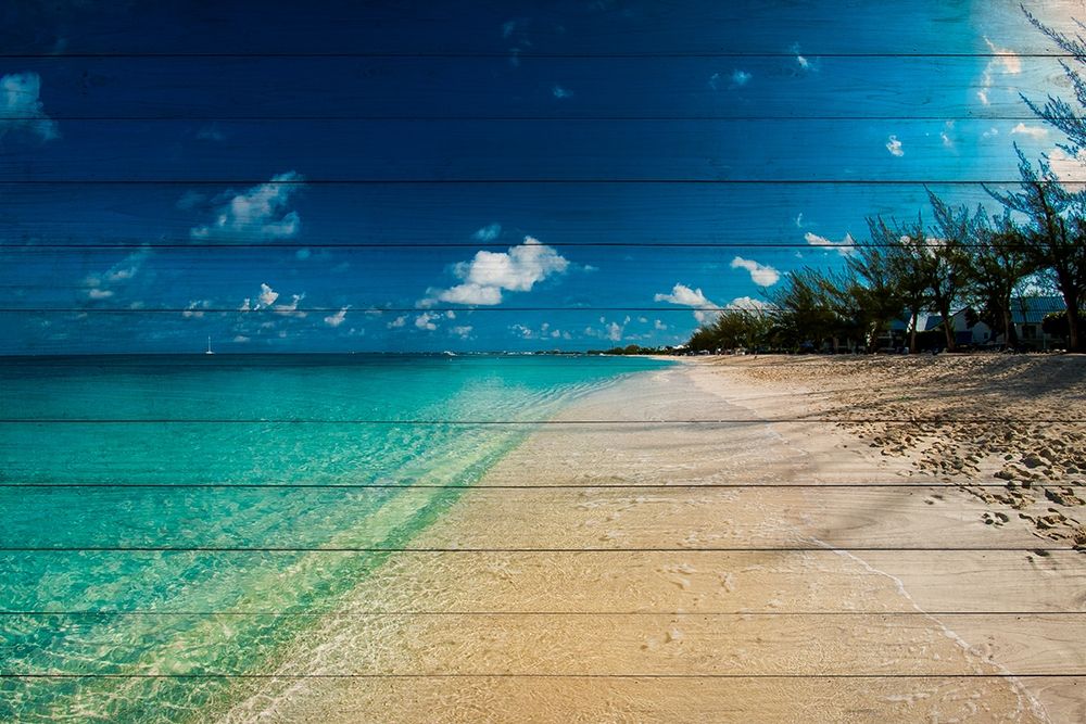 Cayman Islands Beach on Wood art print by Bill Carson Photography for $57.95 CAD